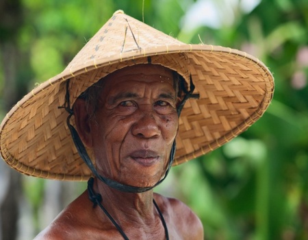 Immersion à Bali - Bali, Indonésie - Image 1