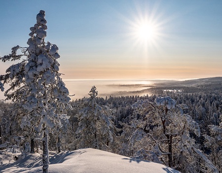 Hôtel Sokos Vuokatti by Ôvoyages - 3