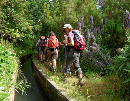 Circuit Madère Saveur Rando 4* - 2