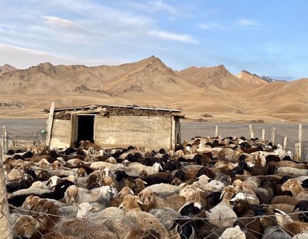 Circuit Echos sauvages et horizons éternels - 5