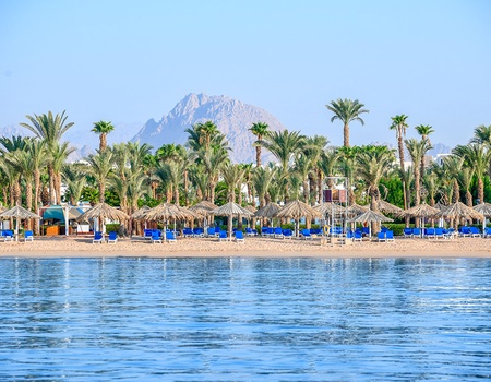 Hôtel Jaz Sharm Dreams 5* - 2