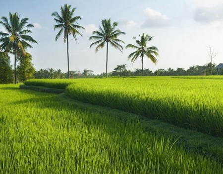 Circuit Privé Flânerie balinaise & séjour Bali 4* - 3
