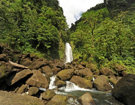 Circuit Évasion Caribéenne : Guadeloupe et Dominique - 5