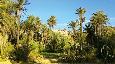 Splendeurs de l'art mauresque - Les villes impériales du Maroc - Andalousie, Malaga, Espagne - Image 5