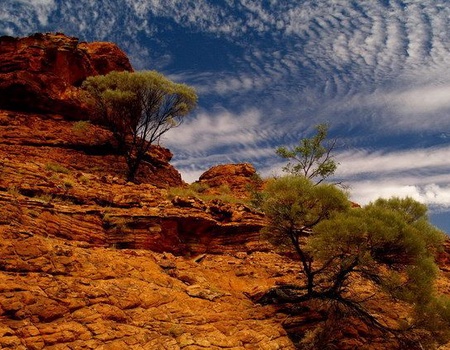 CIRCUIT MOSAIQUE AUSTRALIENNE - 4