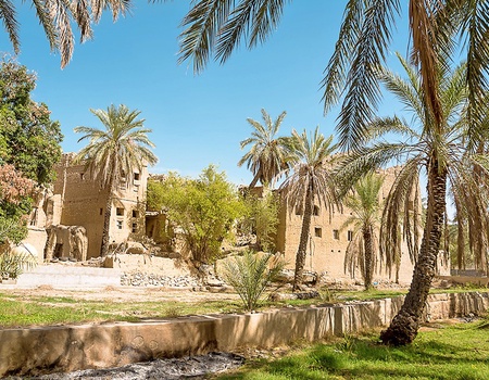 Circuit Oman Joyau d'Arabie - 5