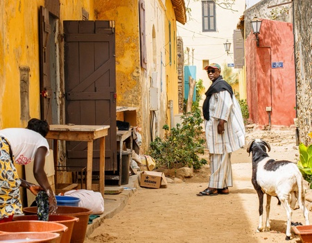 Circuit Au rythme de l'Afrique de l'Ouest : le Sénégal, terre de contrastes - 4