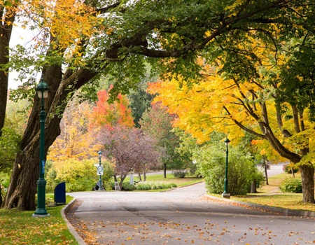 Circuit Les Grands Sites de l'Est Américain + extension New York - 5