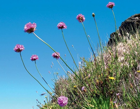 Circuit Echappée Active à Madère depuis Meliã Madeira Mare Resort & Spa 5* - 2