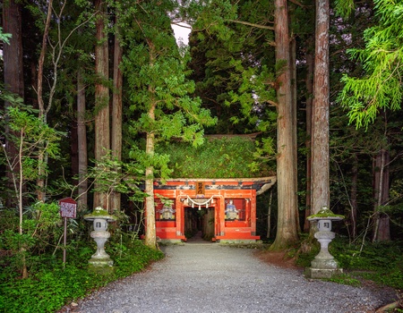 Circuit individuel : Le Japon au gré des saisons en 3* ou 4* - 4** - Osaka, Japon - Image 5