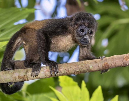 Circuit Pura Vida - 5