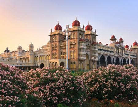 Circuit Des Couleurs de l'Inde du Sud à Mysore, Cité Royale - 1