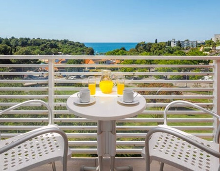 Hôtel Albatros Plava Laguna 4* - 3