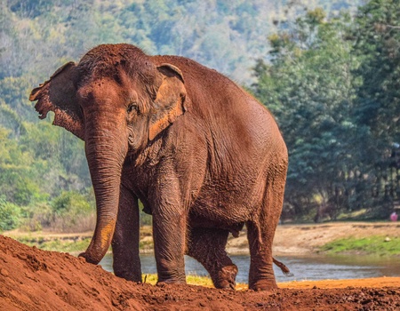 Circuit Voyage en pays thaï : de la capitale aux confins du nord - 4