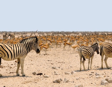 Grand Tour De Namibie 2026 - Namibie, Afrique Océan Indien - Image 2