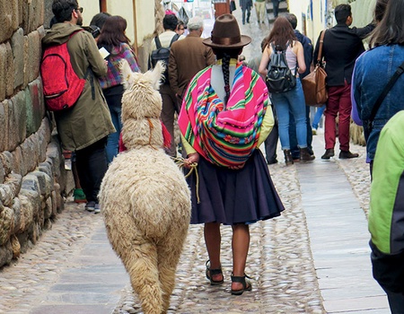 Circuit Le Pérou, du Pacifique au lac Titicaca - 3