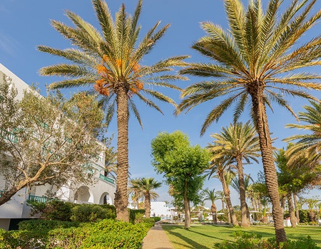 Hôtel El Mouradi Port El Kantaoui 4* - 3