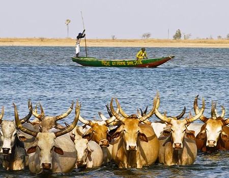 Balade Sénégalaise 3* - 5