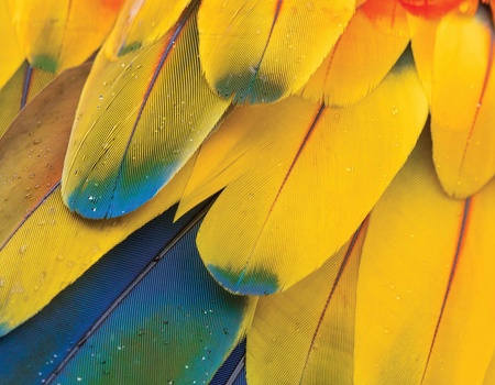 Circuit Costa Rica authentique : trek entre forêts et volcans - 4