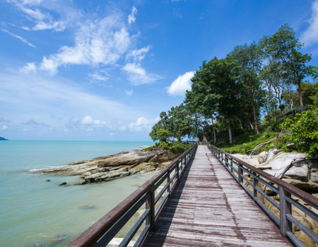 Malaisie en Liberté, Des Terres Sauvages de Taman Negara à l'île de Langkawi 4* - 3