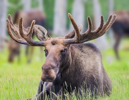 Circuit Zoom sur l'Est du Canada - 5
