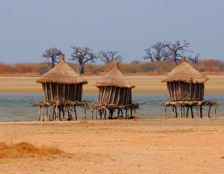 Circuit Sénégal, entre savane et plage du Framissima Riu Baobab *****