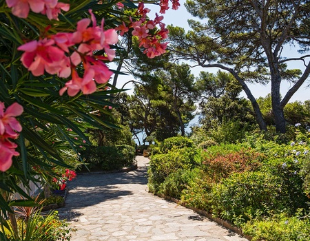 Parenthèse d'exception sur la presqu'île de Giens - 4* - 4