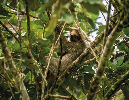 Combiné hôtels Éden Tropical : parenthèse enchantée durable - 2
