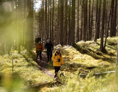 Séjour multi-activités à Levi été - Finlande, Europe du Nord - Image 1