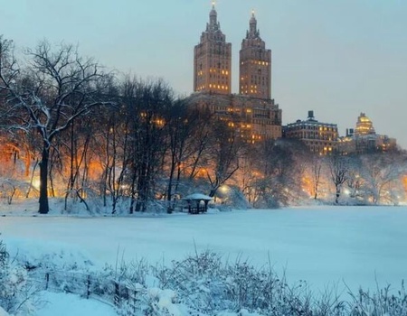 Séjour Réveillon à New York - Noel ou jour de l'An - 2