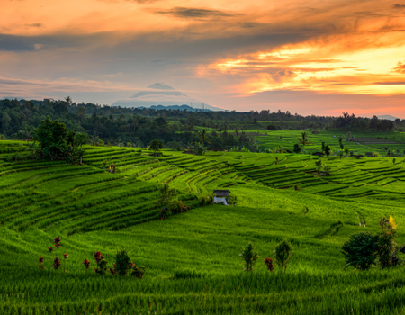 Combiné Jungle, Cascades et Sable de Bali - 3