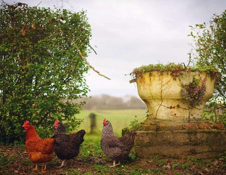 Week-end dans un Château à Le Sallay - 4* - 5