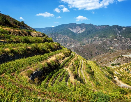 Autotour Sous le soleil d'Aphrodite : Chypre en douceur **** - 5