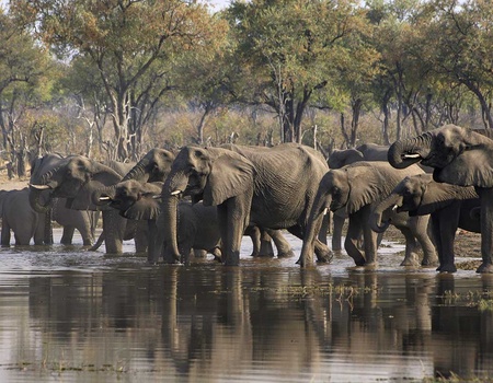 Circuit Inoubliable Botswana - 3