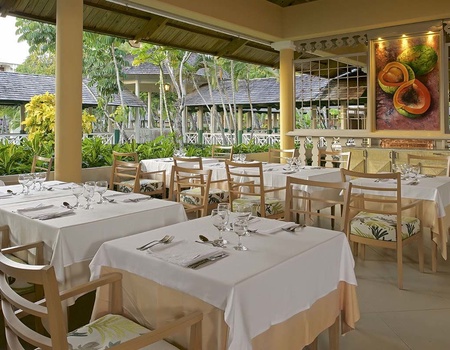 Iberostar Waves Punta Cana 5* - Arrivée Punta Cana - 4