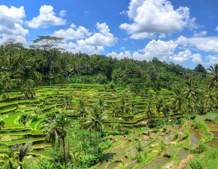OP - Circuit Jet tours Signature - Bali, l’île aux mille offrandes - Limité à 10 pers. - 3
