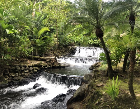 5 Jours guidés au Costa Rica : L'éclat de la Capitale 3* (Pension au Choix) - San Jose, Costa Rica - Image 2