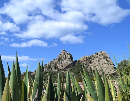 Résidence Sapa Di Cala - 4