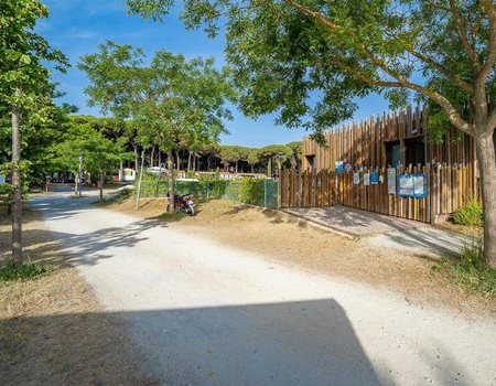 Camping Pineta sul Mare, 3* - 3