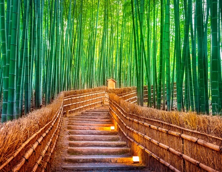 Circuit individuel : Japon Essentiel avec activités en 3★ ou 4★ - STD* - 4