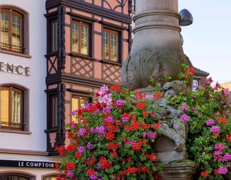 Escapade romantique près de Strasbourg - 4* - Obernai, Nord & Est - Image 4