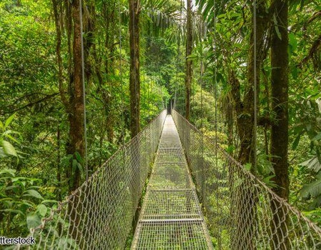 Circuit Costa Rica, où la nature prend vie sans balnéaire - 5