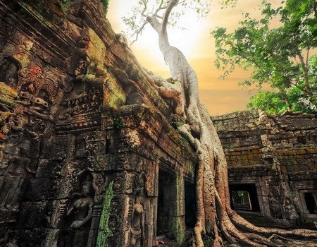 LA CANTATE EXT HALONG PT SUPERIEUR CAT DELUXE - 2