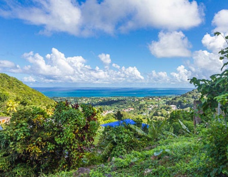 Lodge Piton Bungalows Ecolodges - 5
