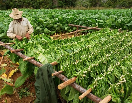 Circuit Kappa Découverte - A la Rencontre des Cubains et Extension Hôtel Los Cactus 4*nl - 4