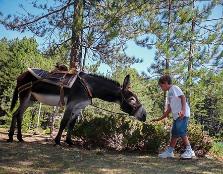 Séjour Corsica, l'île aux enfants à Calvi - 5
