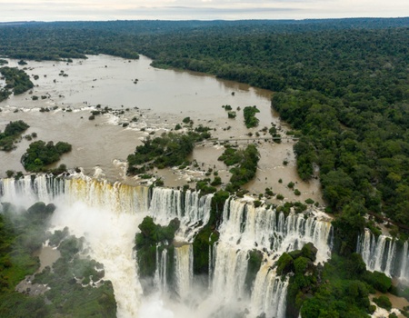 Les Trésors du Brésil - Sao Paulo, Brésil - Image 2