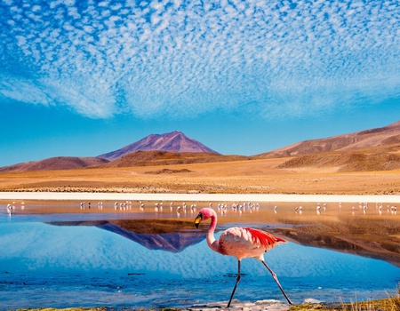 Les Perles des Andes : Chili, Bolivie, Pérou - 17J/14N - Limité à 20 pers. - 2025
