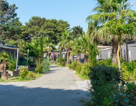 Camping Domaine Les Mûriers, 4* - 3