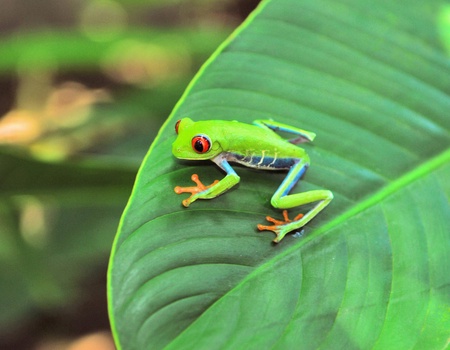 Combiné hôtels Éden Tropical : parenthèse enchantée durable - 5